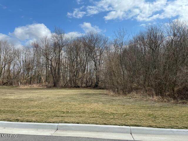 62 Thompson Boulevard - Photo 1