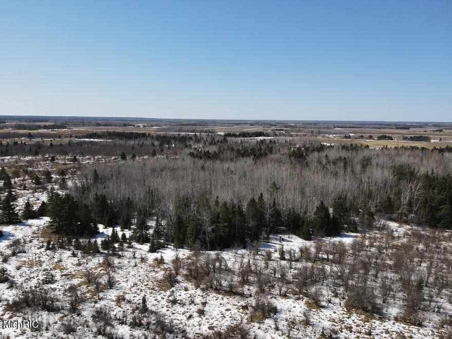 10200 Forrest Side Road - Photo 1