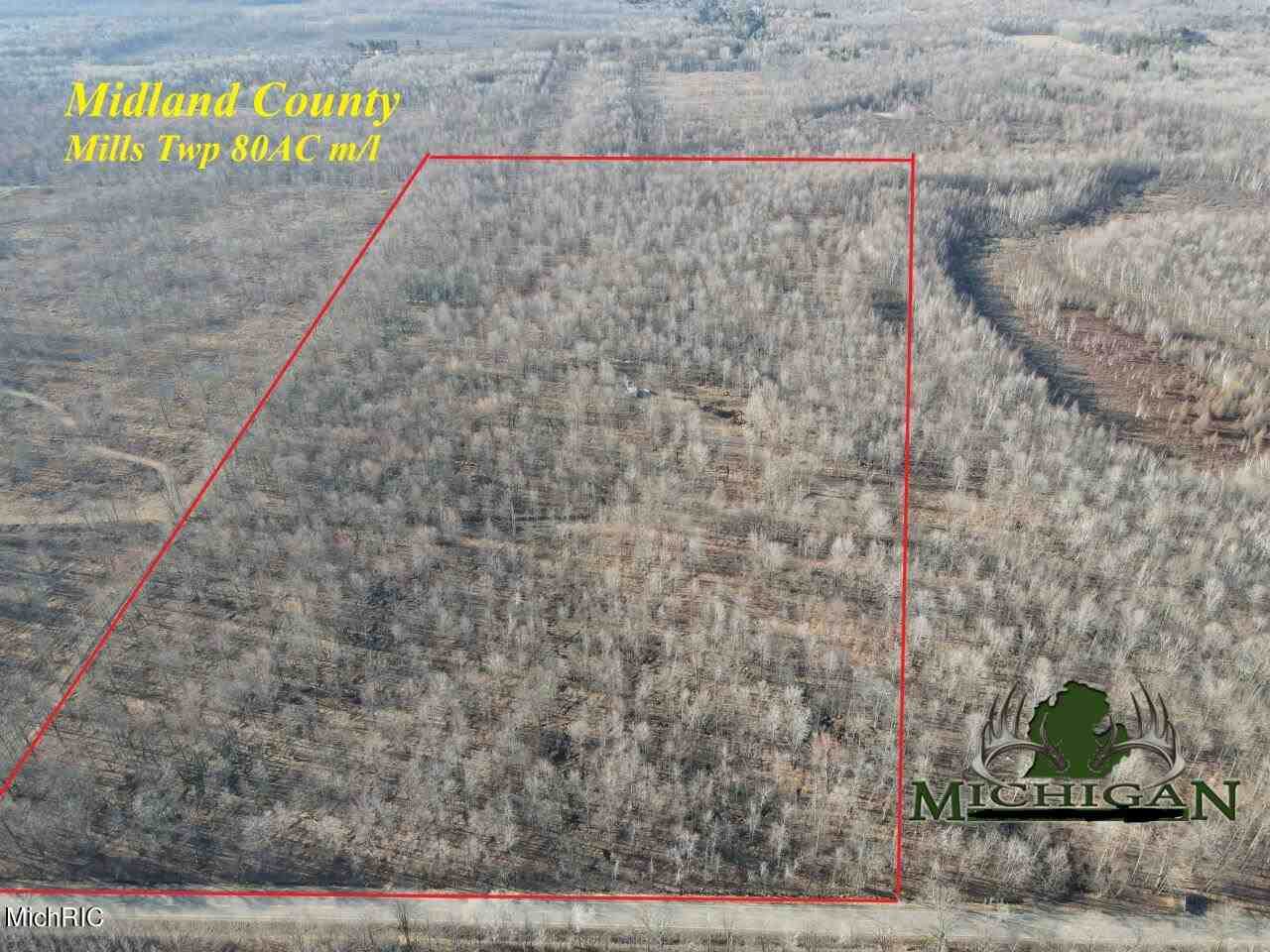3000 Shearer Road - Photo 1