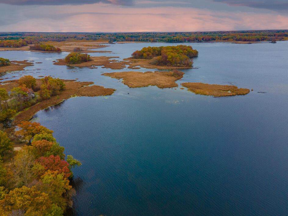 Snake Island - Photo 1