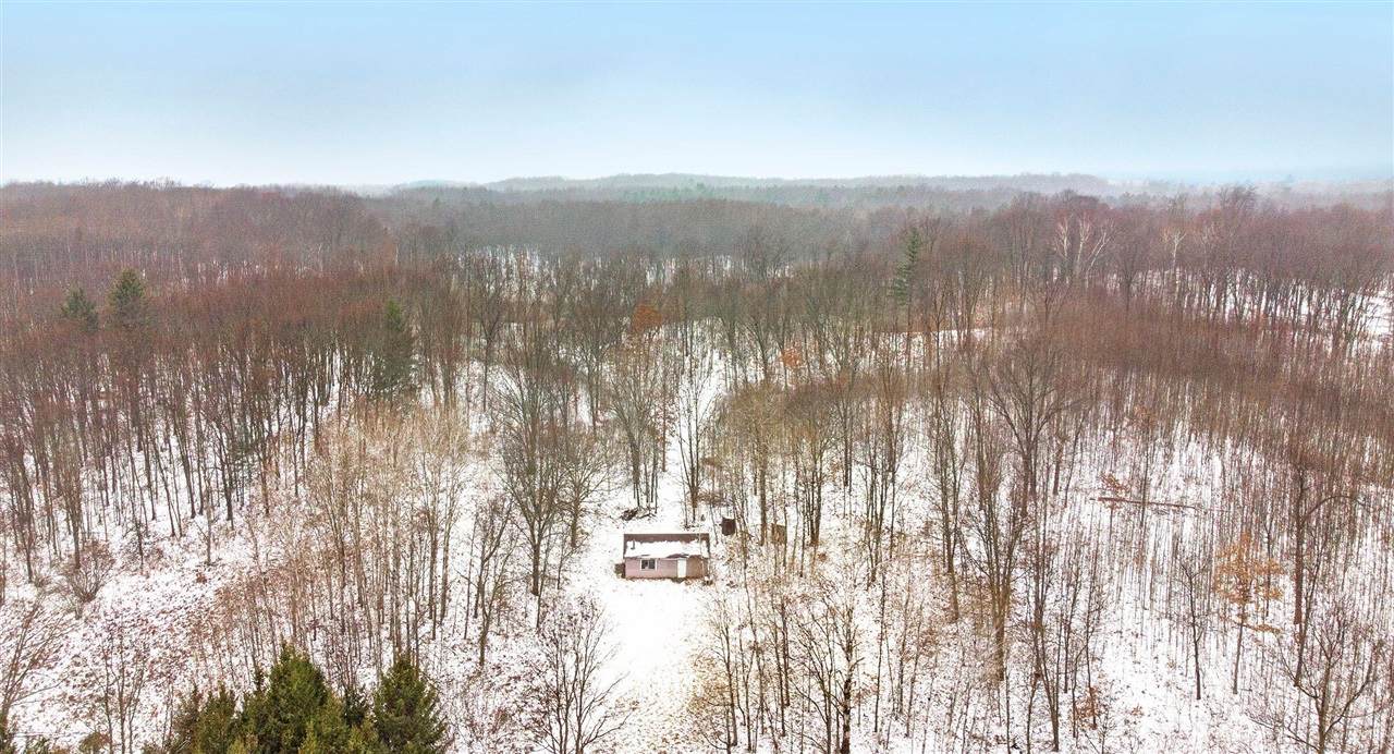 4111 Lanager Road - Photo 1