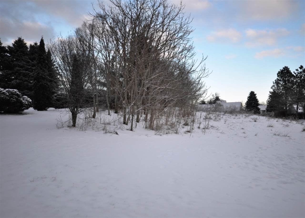 2924 Hunters Hill - Photo 1