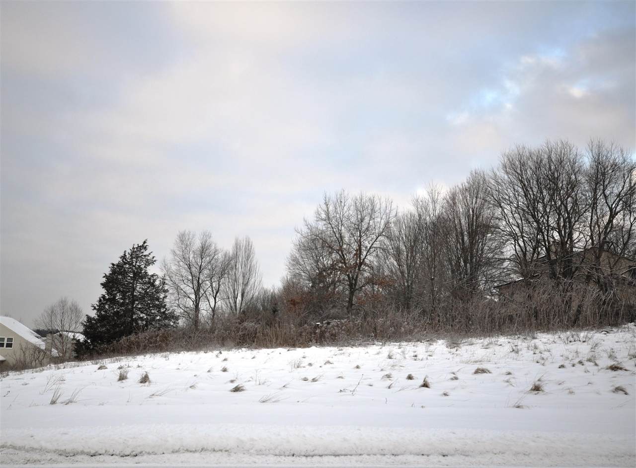2869 Hunters Run - Photo 1