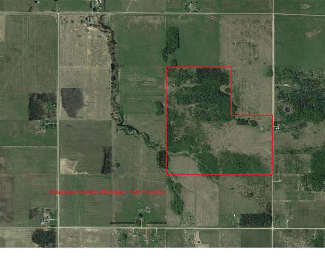 10200 Forrest Side Road - Photo 1