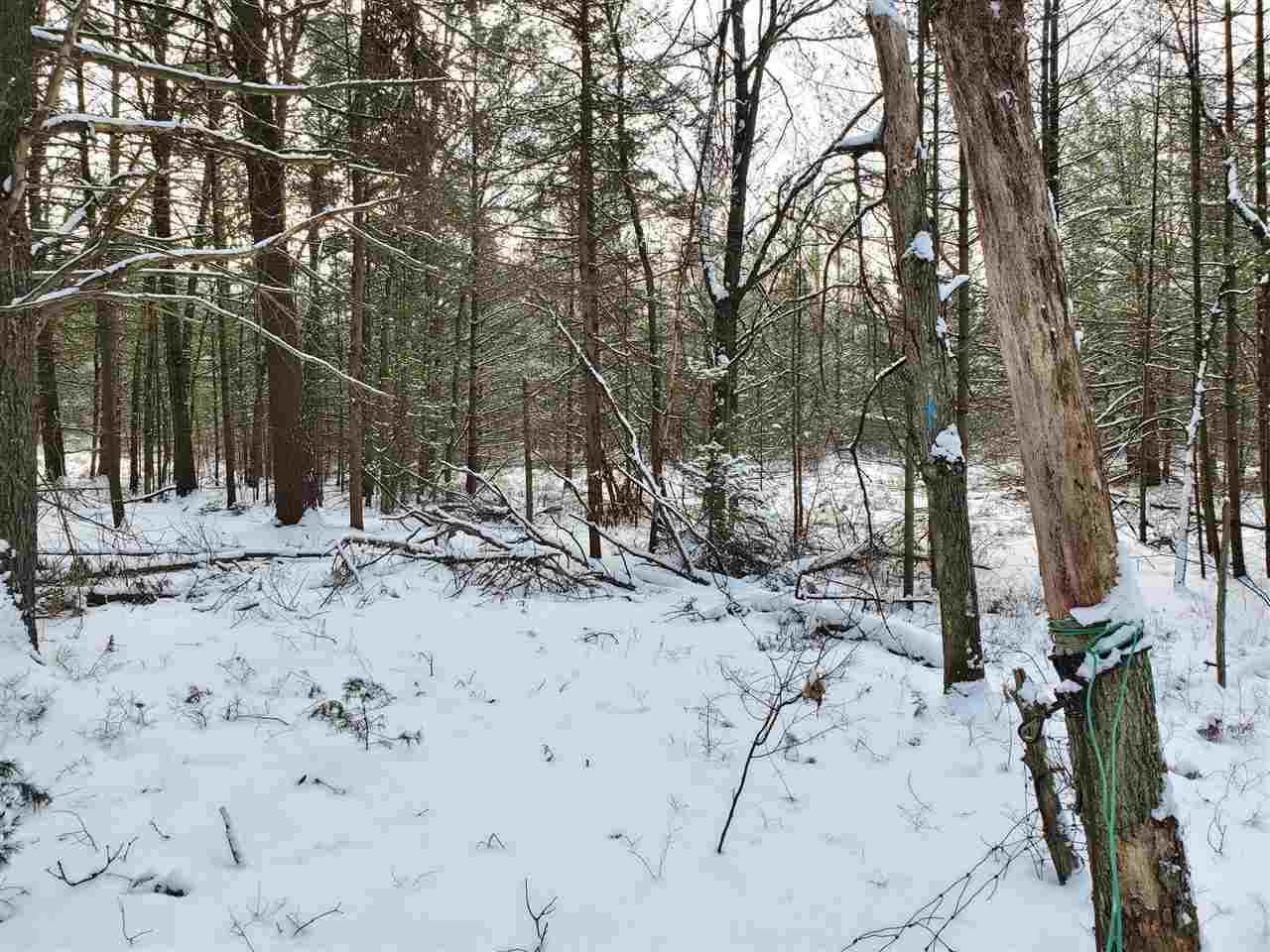 0 Centerline Boulevard - Photo 1