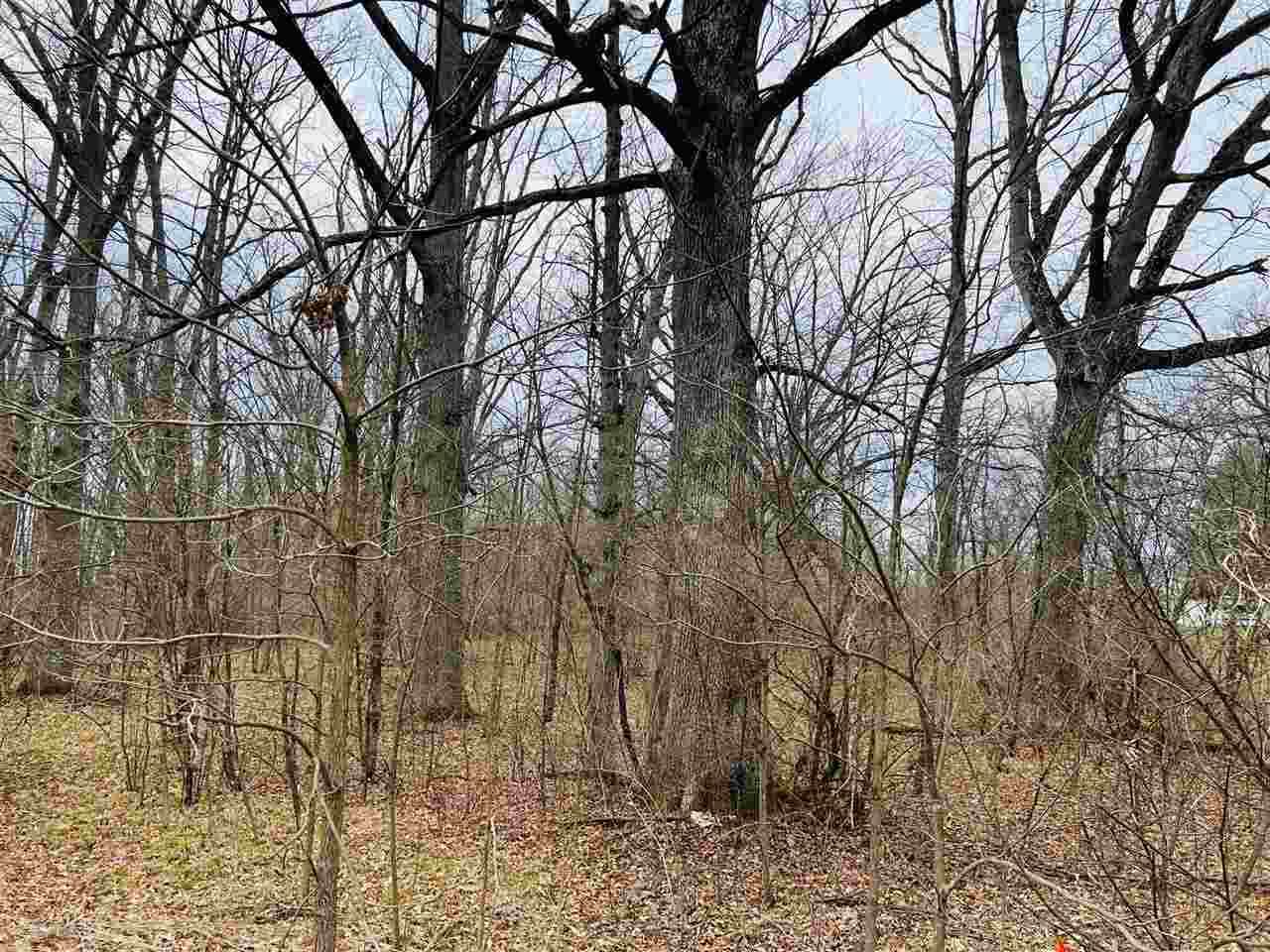 0 Lakeview Drive - Photo 1