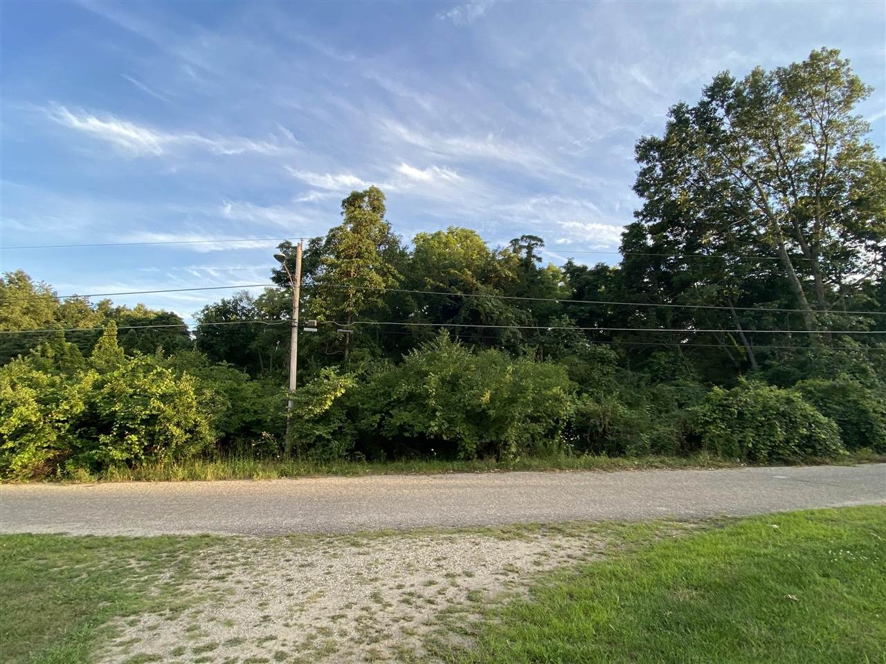 Caruthers Drive - Photo 1