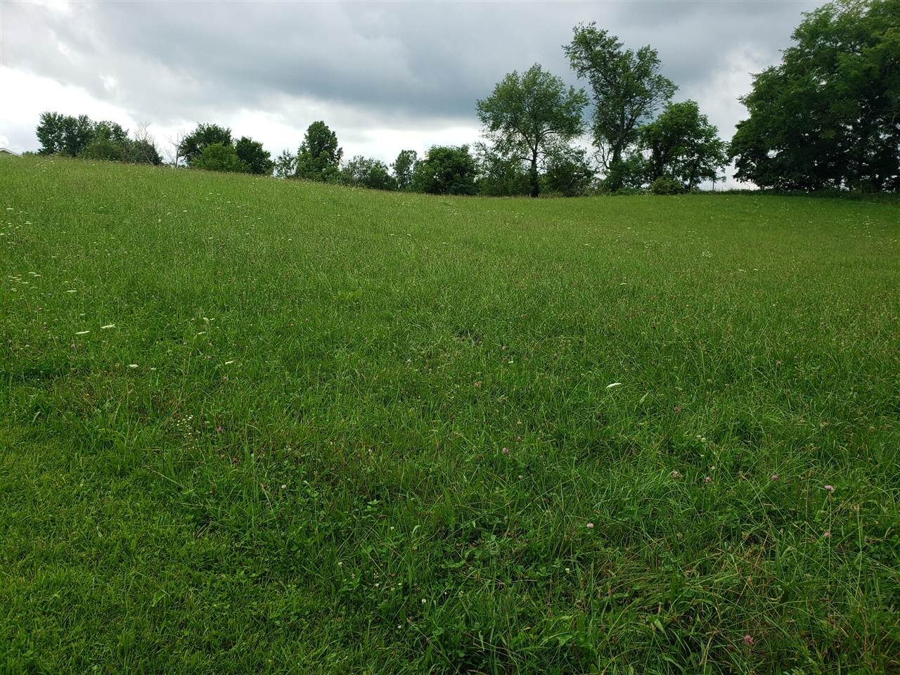 Green Meadows Lane - Photo 1