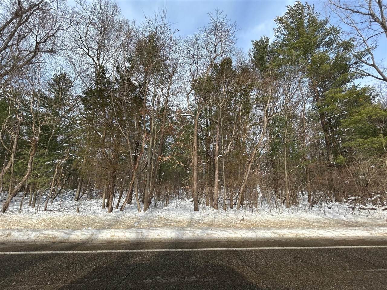 TBD 113th Avenue - Photo 1