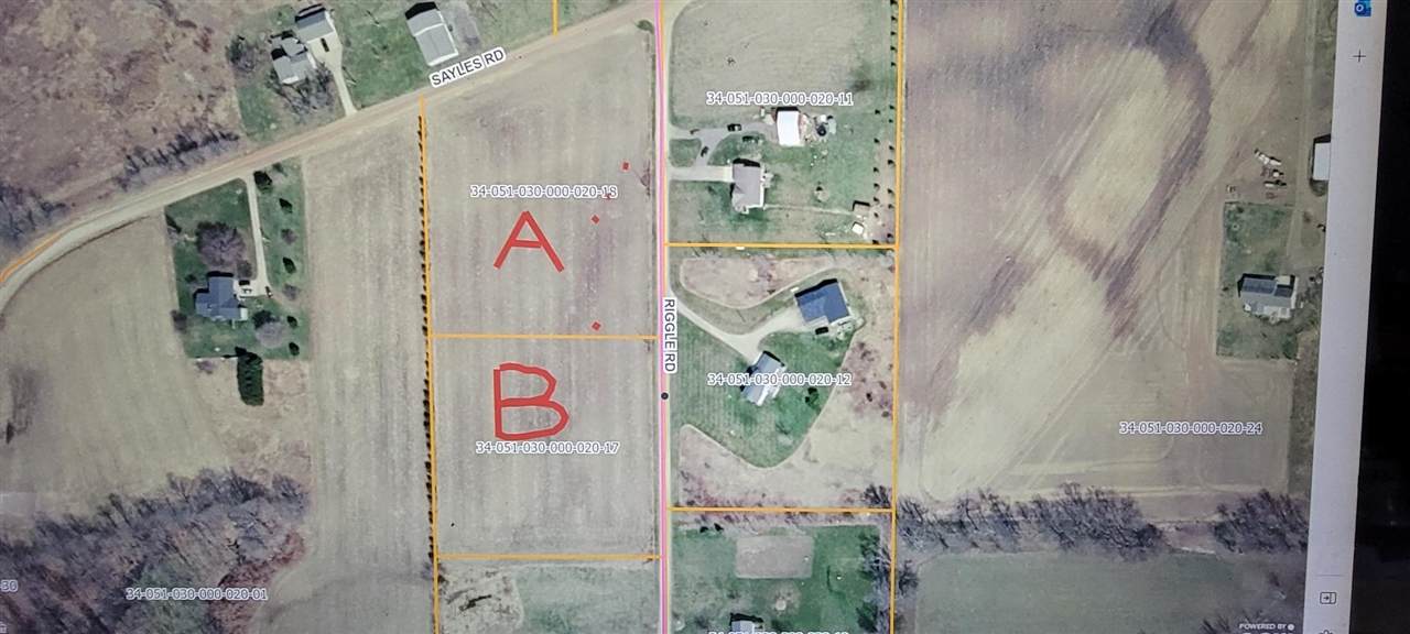 Parcel B Riggle Road - Photo 1