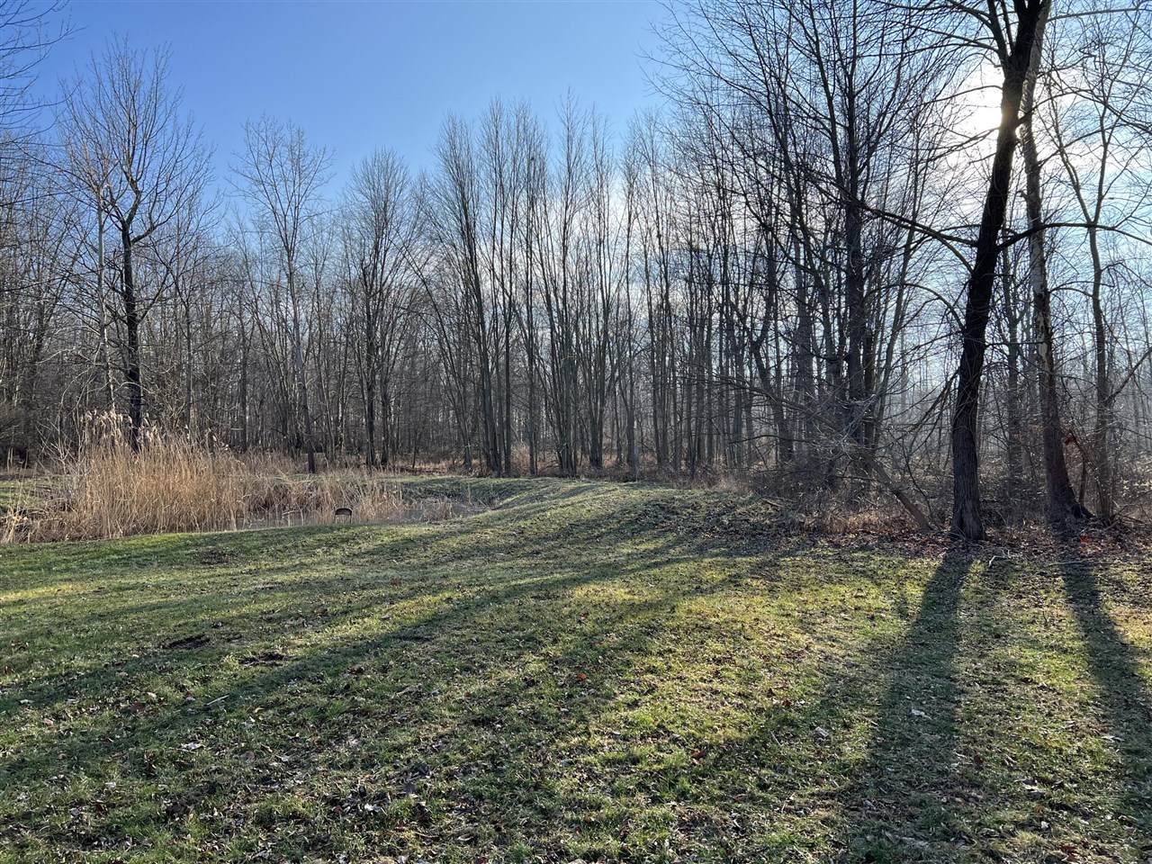 141 Nettleman Road - Photo 1