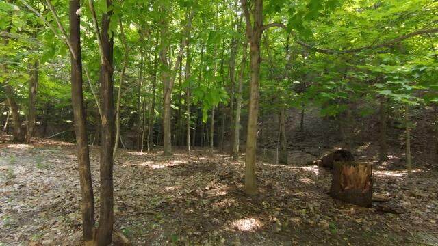 0 Lost Valley Road - Photo 1