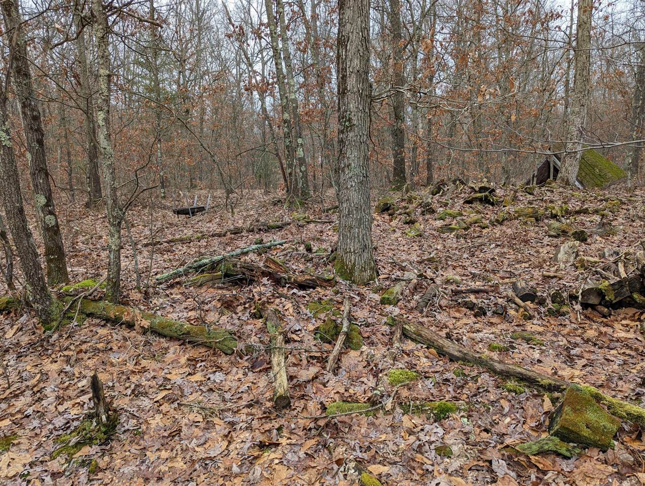 7481 Forest Glen Road - Photo 1