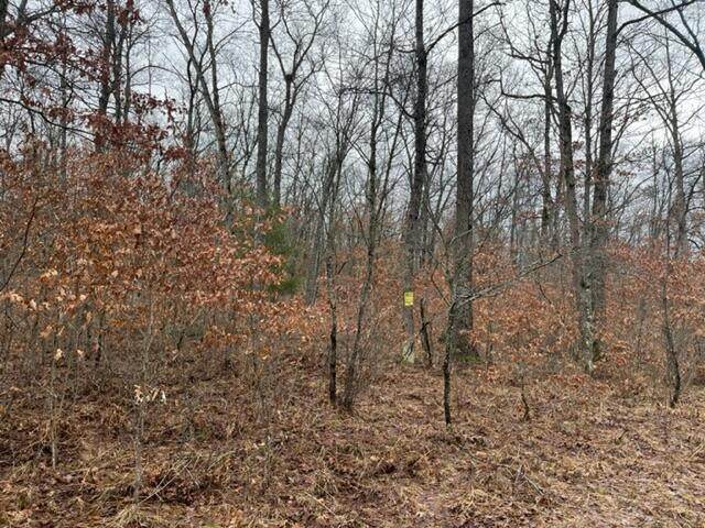Parcel B Usfs 5196 Road - Photo 1