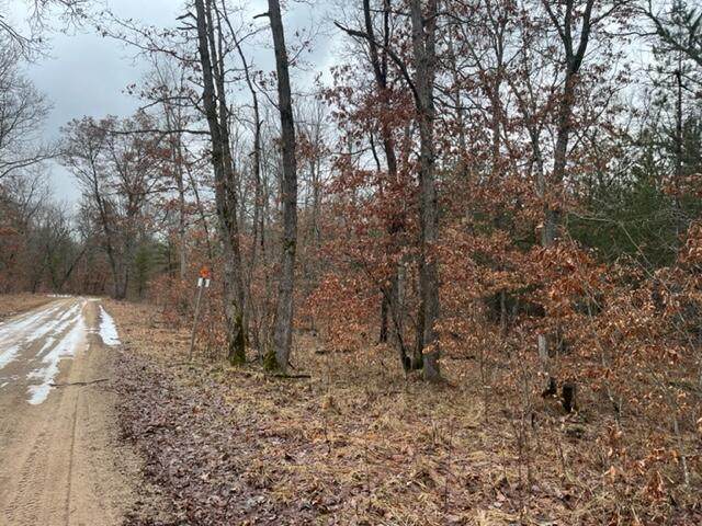 Parcel C Usfs 5196 Road - Photo 1