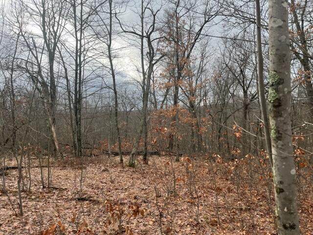 Parcel D Logan Trail - Photo 1