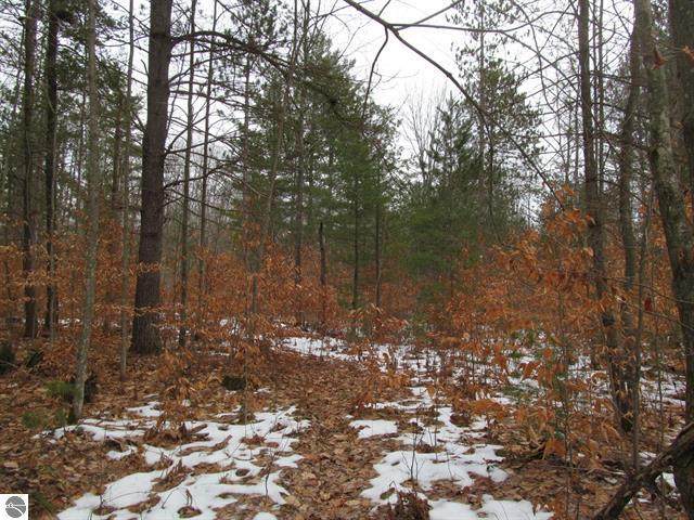 10 Acres Vandermullen Road - Photo 1