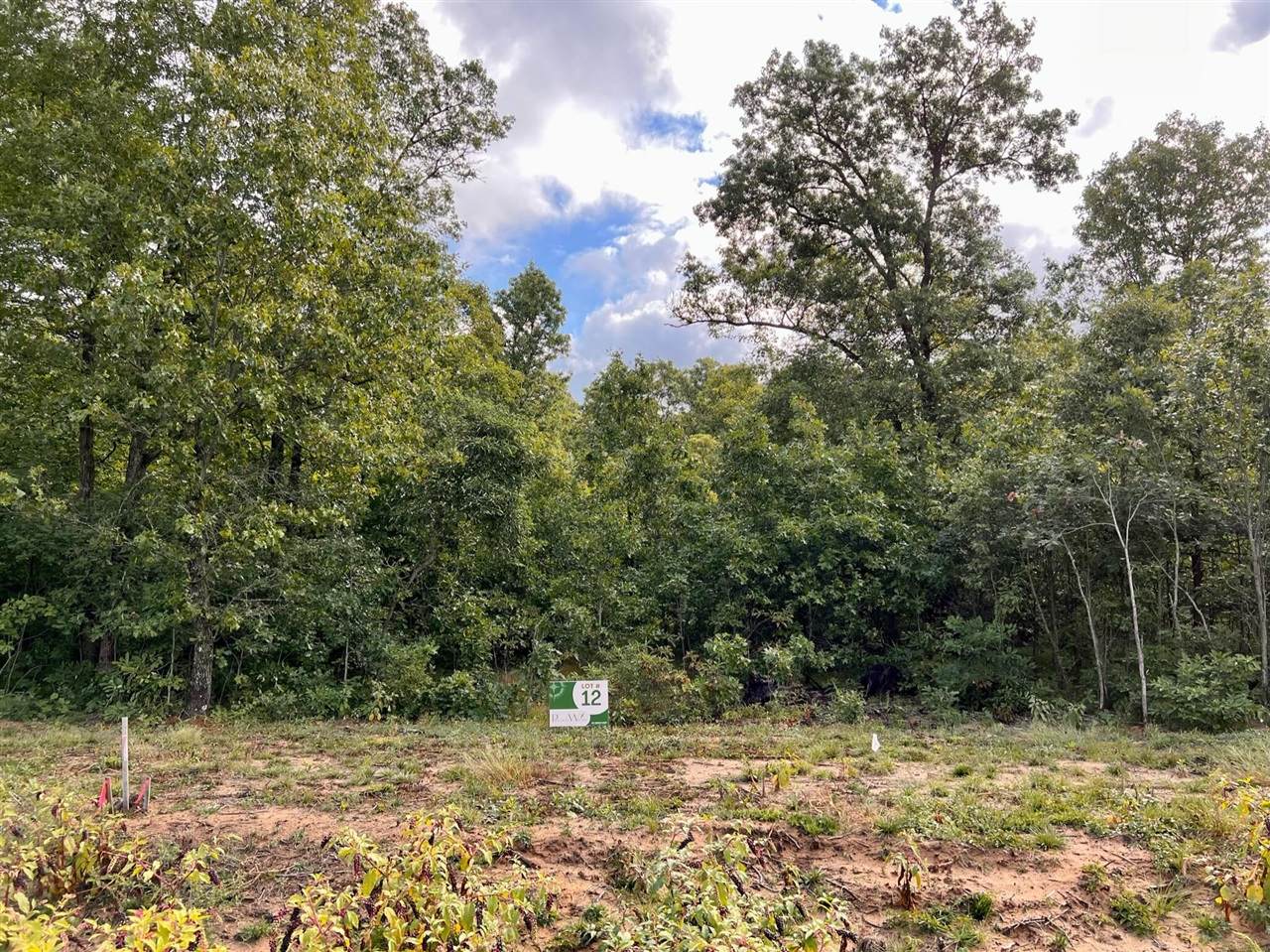 414 Sabine Drive - Photo 1