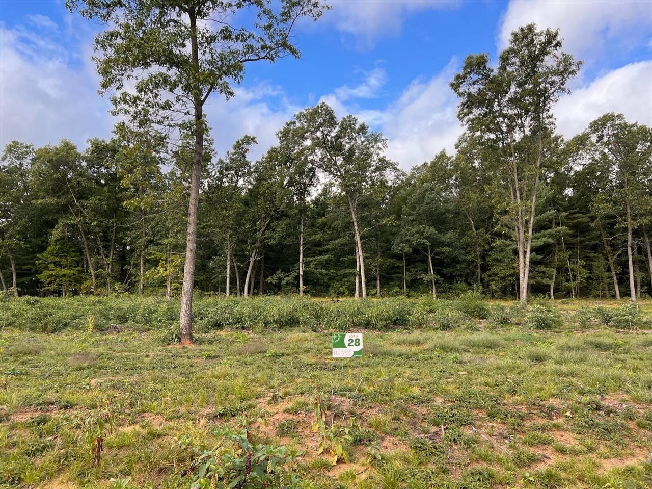 413 Sabine Drive - Photo 1