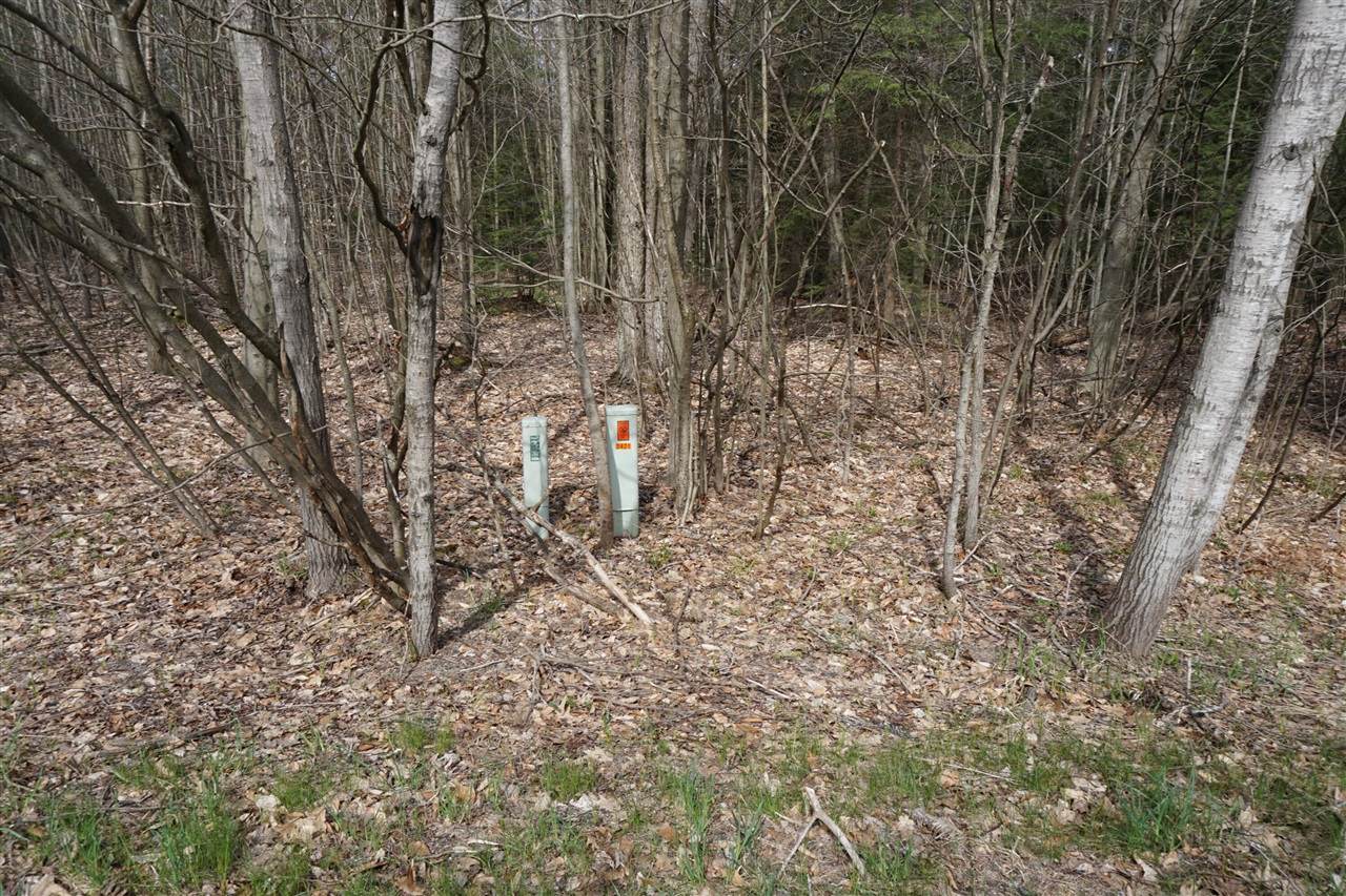VL 164th Avenue - Photo 1