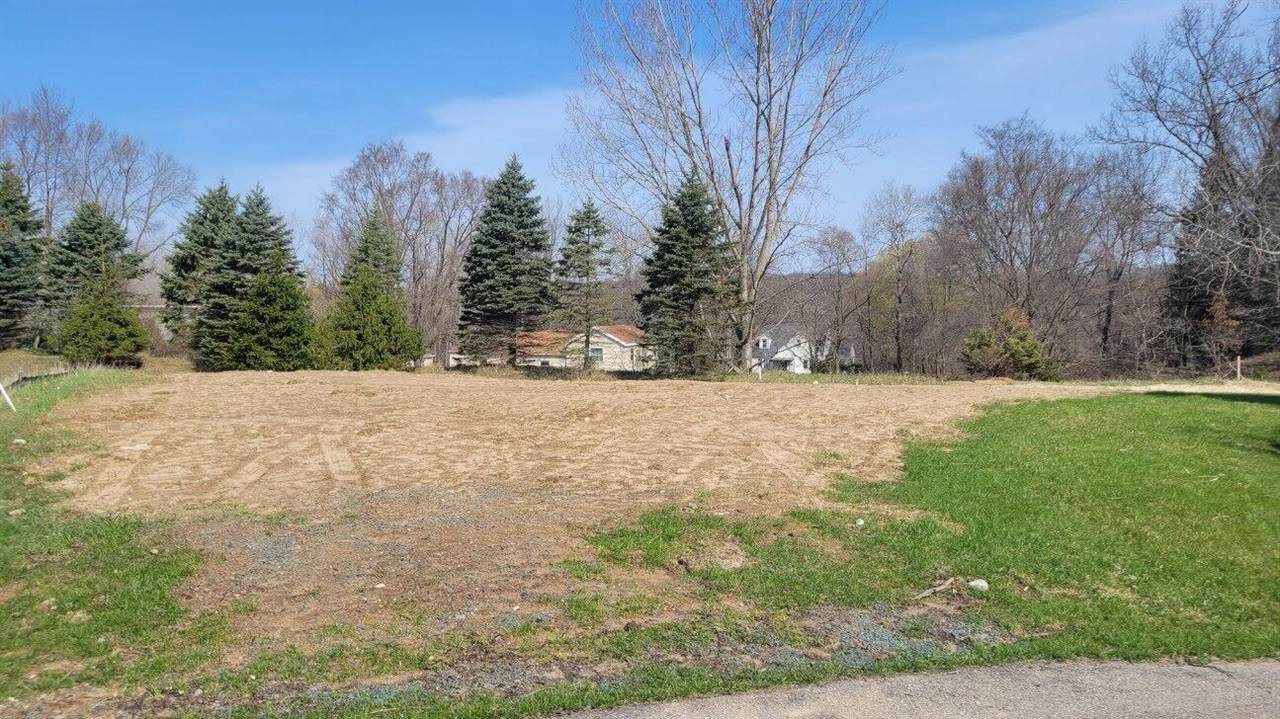 8366 Rose Ridge Drive - Photo 1