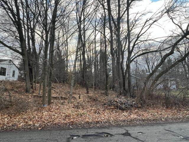 V/L Burt Avenue - Photo 1