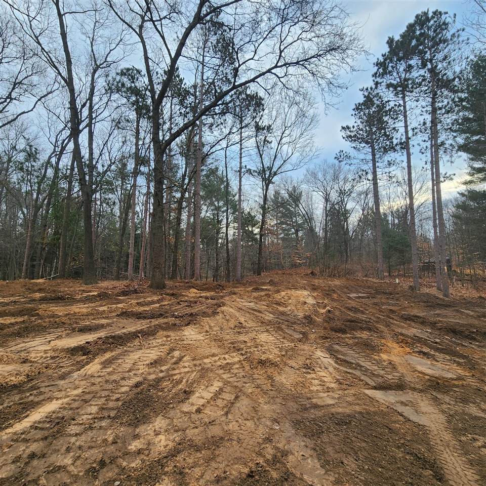 4869 Wayne Rd - Photo 1