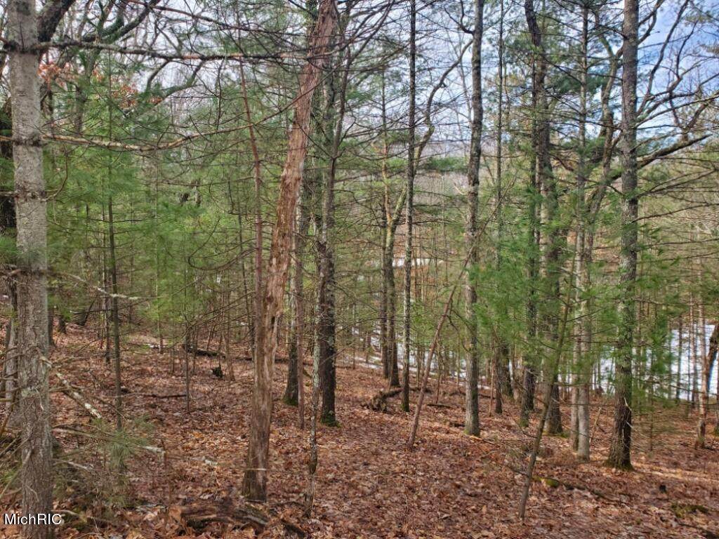 00 Van Buren Avenue - Photo 1
