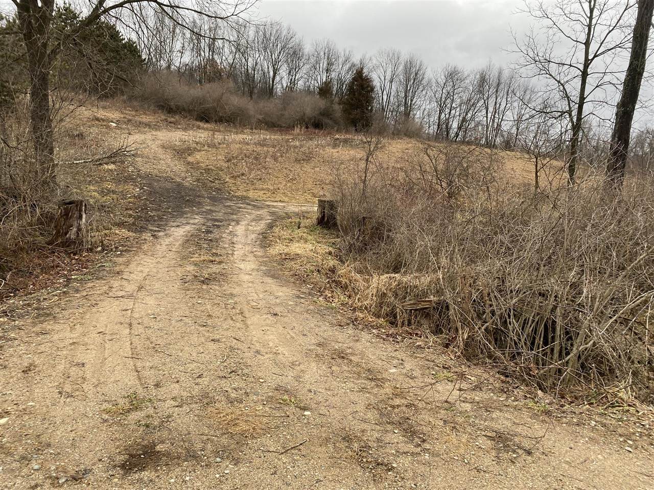 (Lot 1) Shaw Road - Photo 1