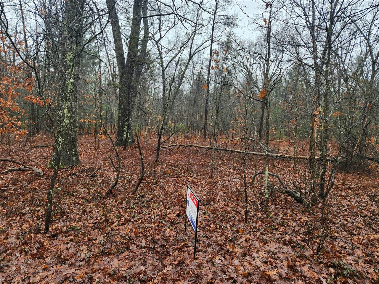 0 Vacant Lot - Photo 1