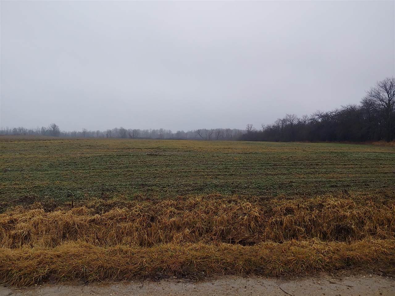 0 Truman - Photo 1