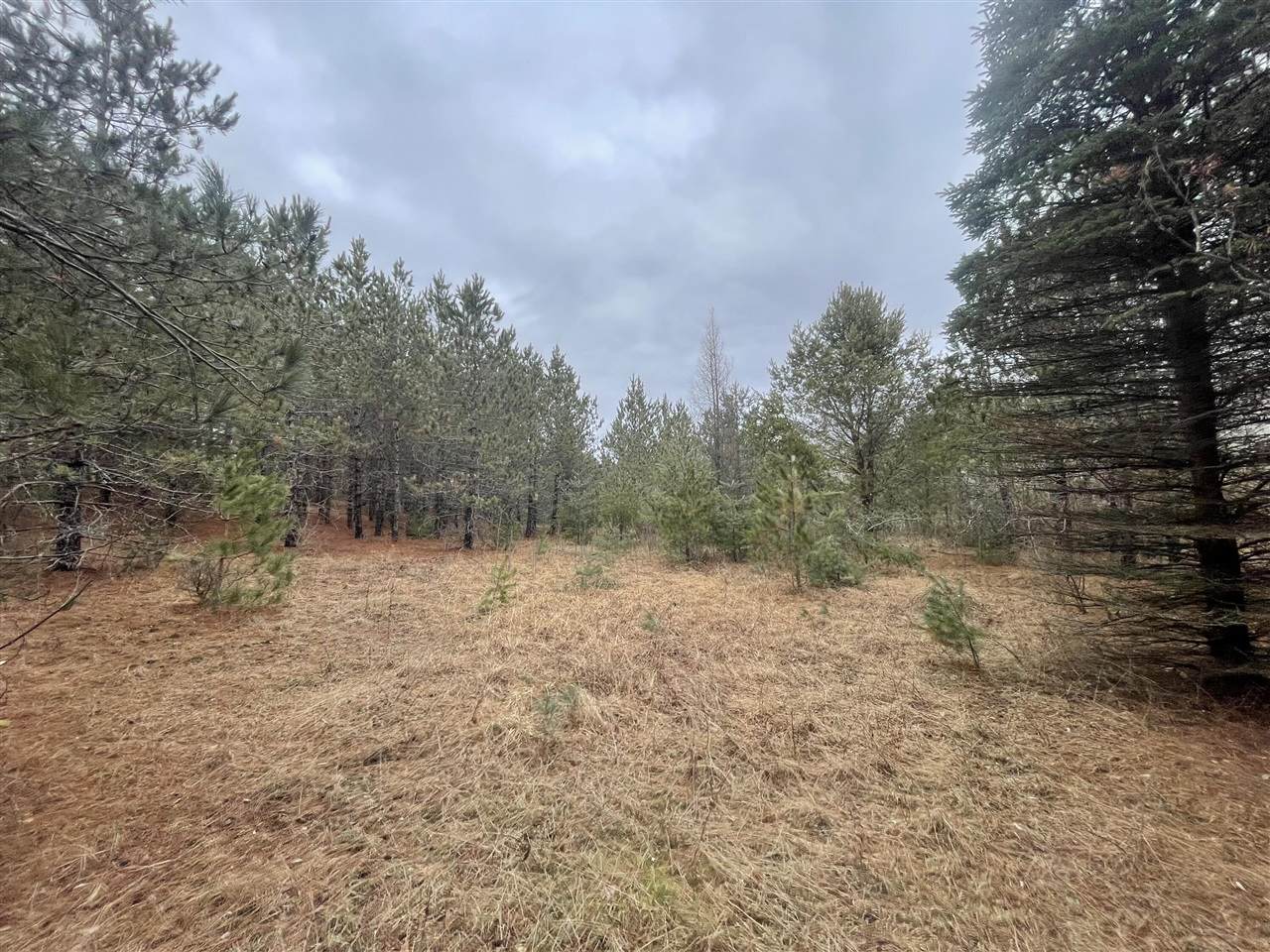 V/L 36A 225th Avenue - Photo 1