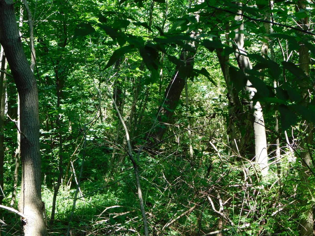 https://bt-photos.global.ssl.fastly.net/realsource/orig_boomver_1_70300636-2.jpg