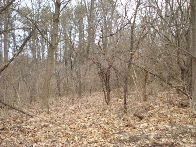 2300 Helena - Photo 1