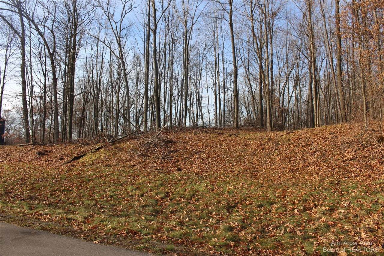 0 Lindsey Unit 13 - Photo 1