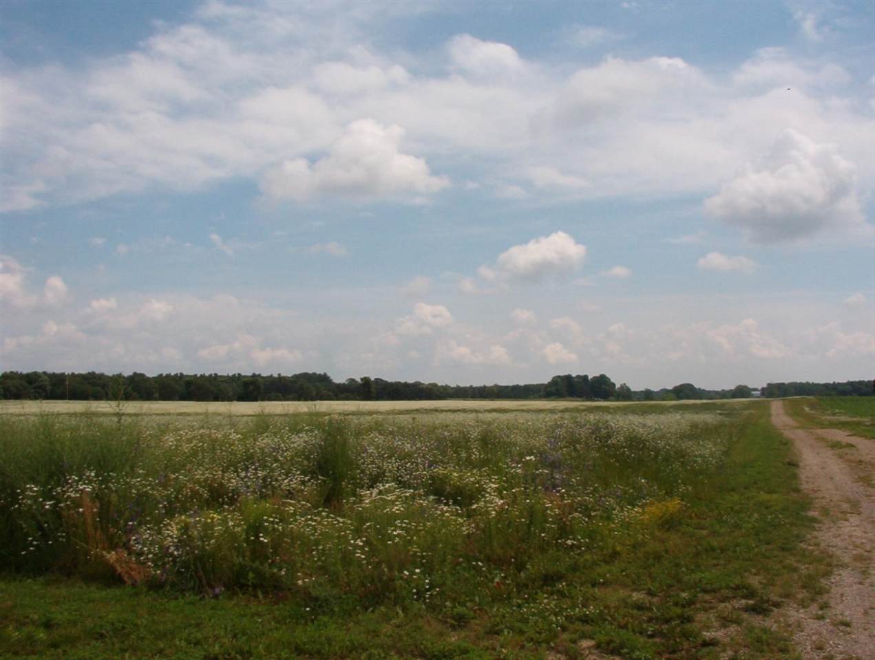 https://bt-photos.global.ssl.fastly.net/realsource/orig_boomver_1_70403409-2.jpg