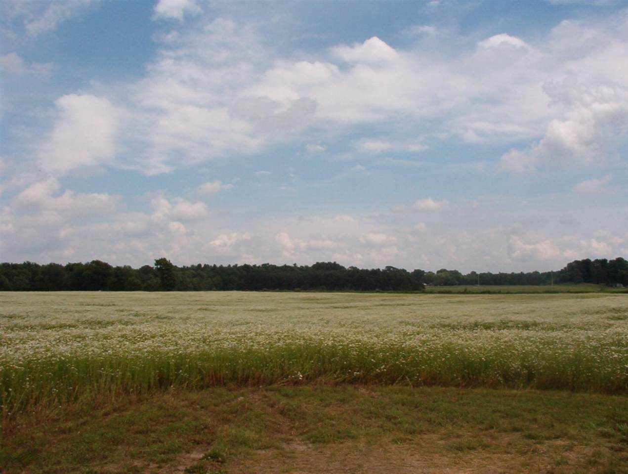 https://bt-photos.global.ssl.fastly.net/realsource/orig_boomver_1_70403409-2.jpg