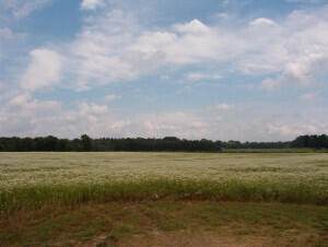 2152 17 Mile - Photo 1
