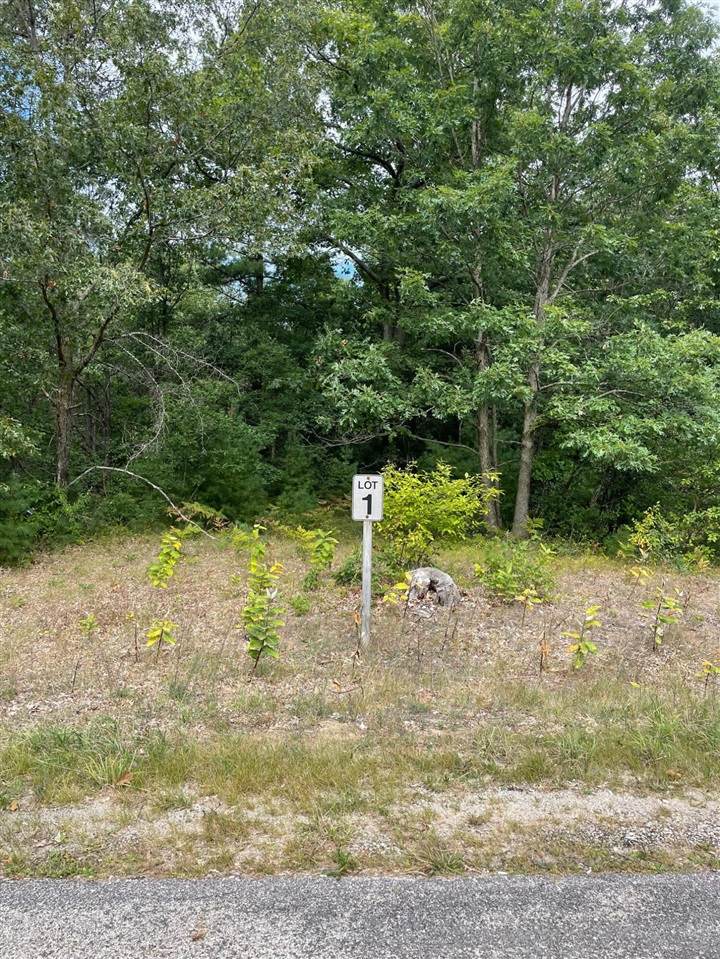 Lot 1 Renaissance Park - Photo 1