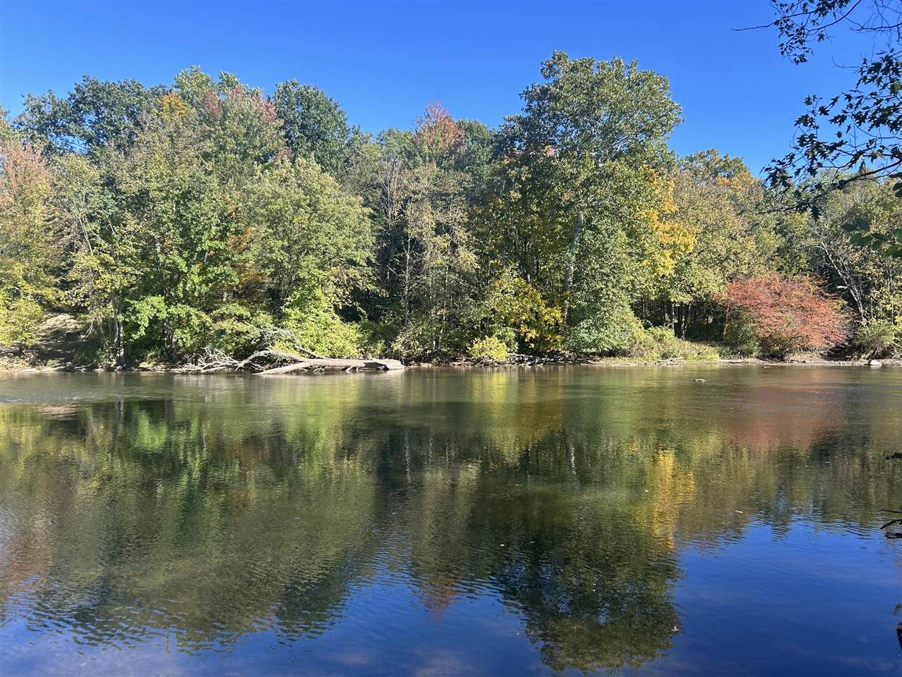 8027 Thornapple River - Photo 1