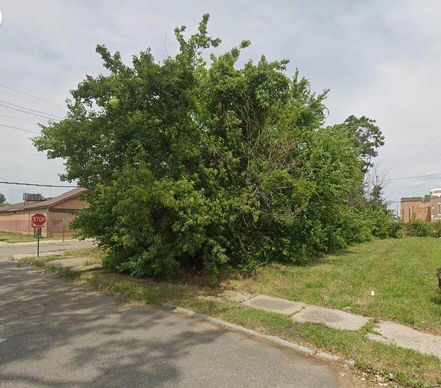 9254 Cameron - Photo 1