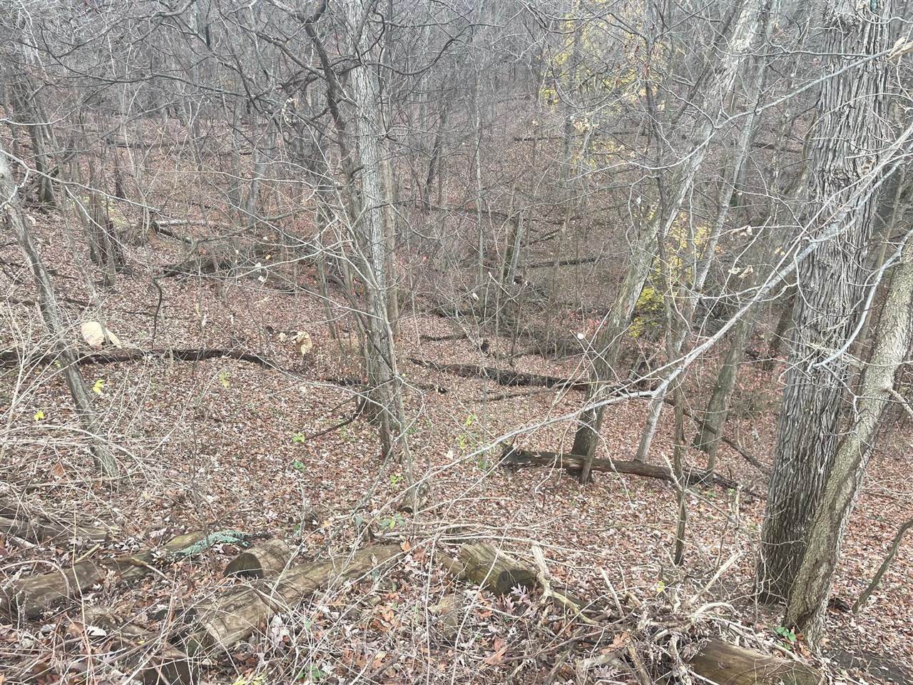 4750 Hunsberger - Photo 1