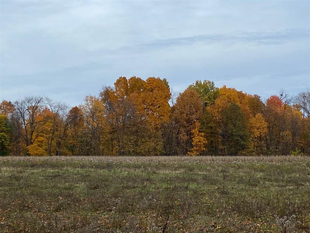 8699 29th - Photo 1