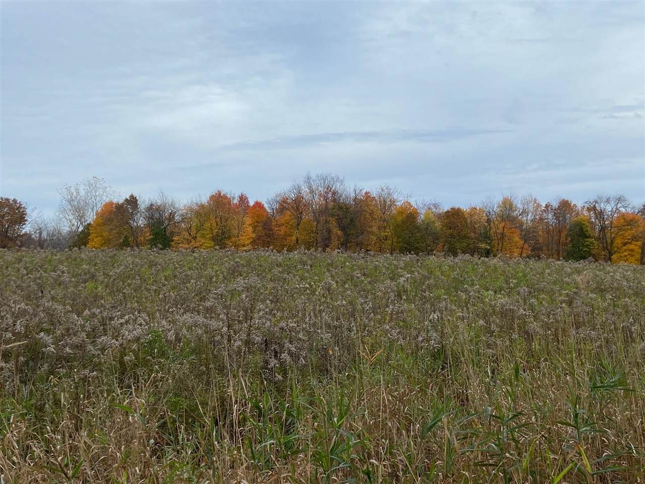 8689 29th - Photo 1