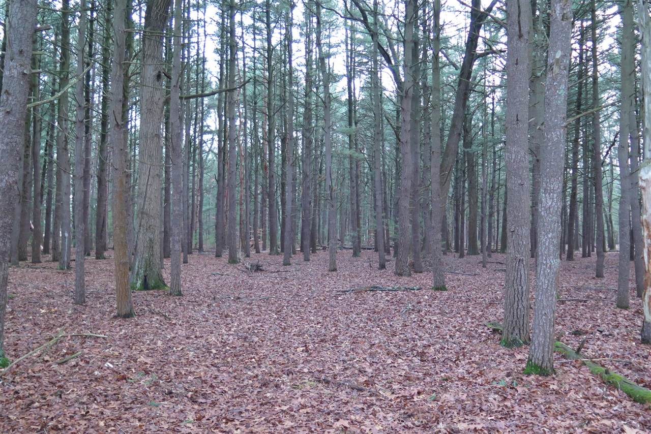 0 Laketon - Photo 1