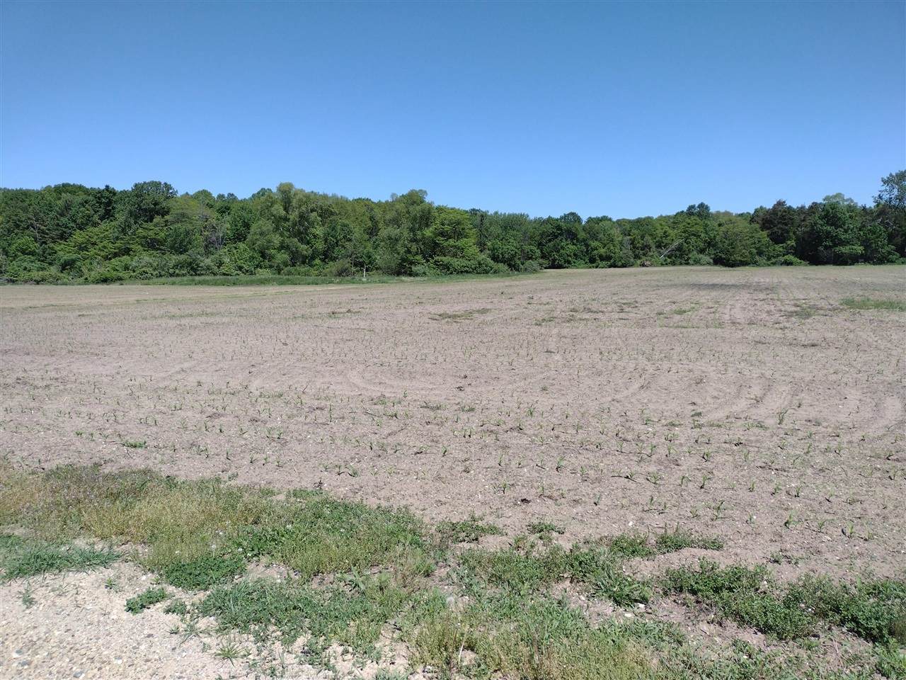 000-D 118th - Photo 1