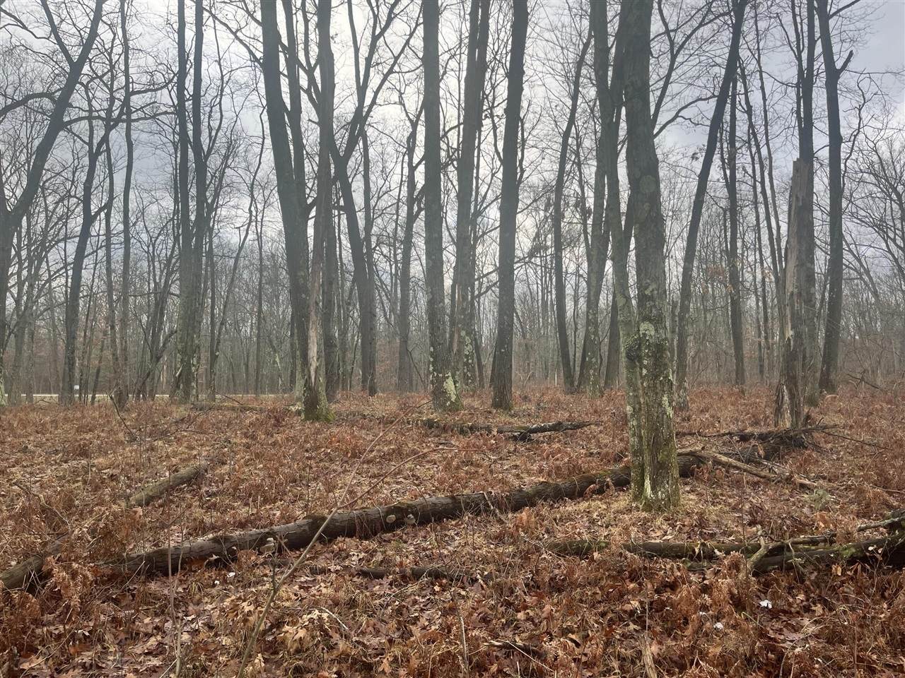 00 Woodbridge - Photo 1