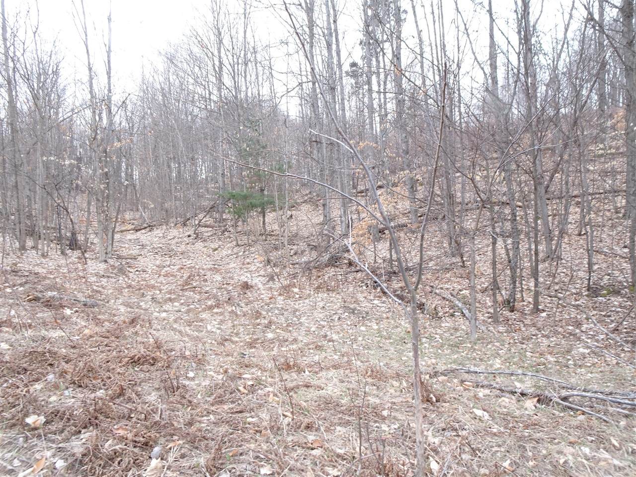Chief ''M'' - Photo 1