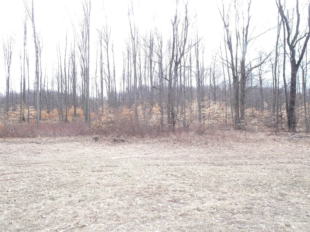Chief ''C'' - Photo 1