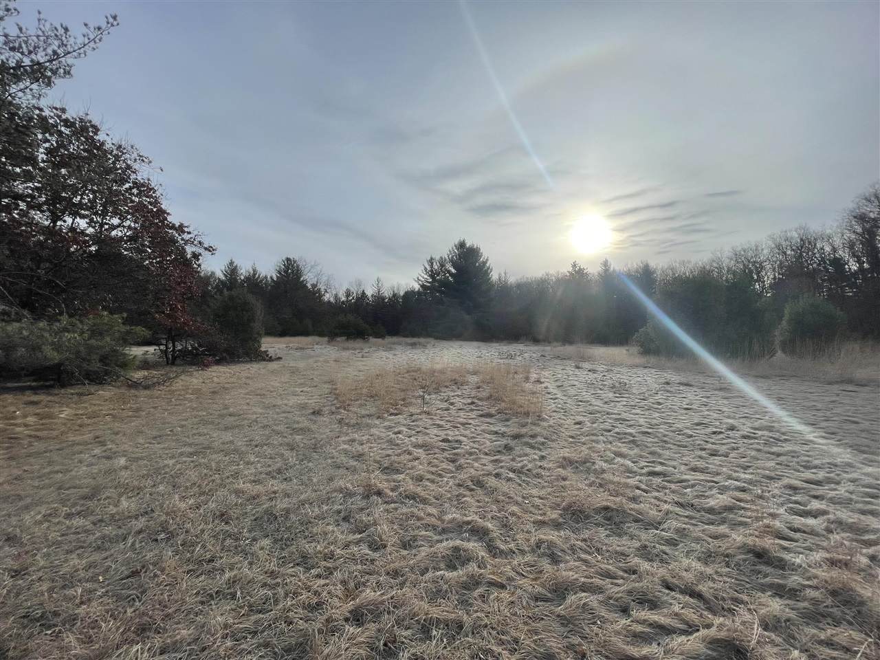 7780 Harrison - Photo 1